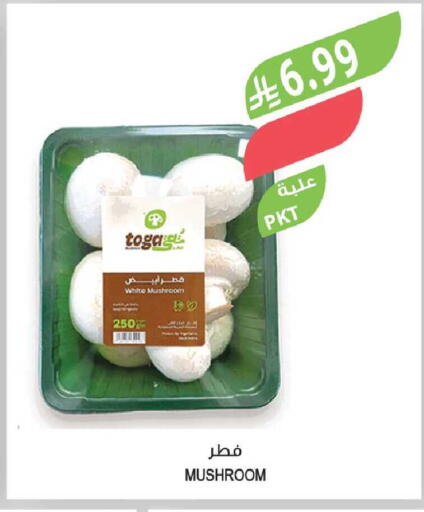Mushroom available at Farm  in KSA, Saudi Arabia, Saudi - Al-Kharj