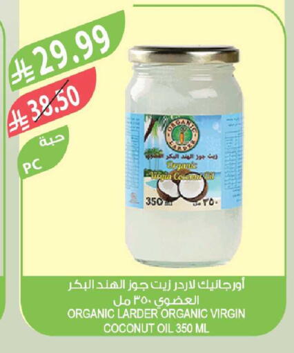 Coconut available at Farm  in KSA, Saudi Arabia, Saudi - Tabuk