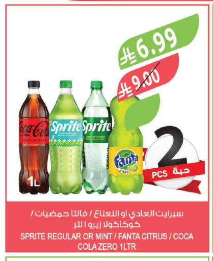 Mint available at Farm  in KSA, Saudi Arabia, Saudi - Tabuk