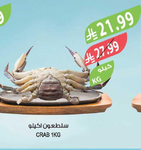 available at Farm  in KSA, Saudi Arabia, Saudi - Tabuk