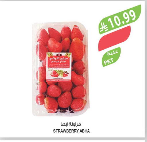 Strawberry available at Farm  in KSA, Saudi Arabia, Saudi - Tabuk