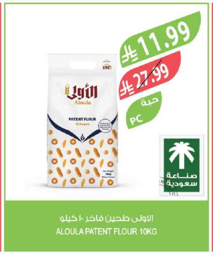 available at المزرعة in مملكة العربية السعودية, السعودية, سعودية - نجران