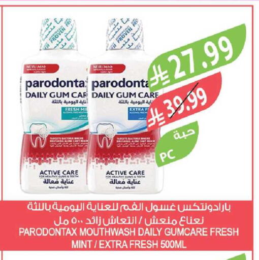 Mint available at Farm  in KSA, Saudi Arabia, Saudi - Tabuk