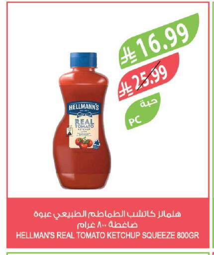 Tomato available at Farm  in KSA, Saudi Arabia, Saudi - Tabuk