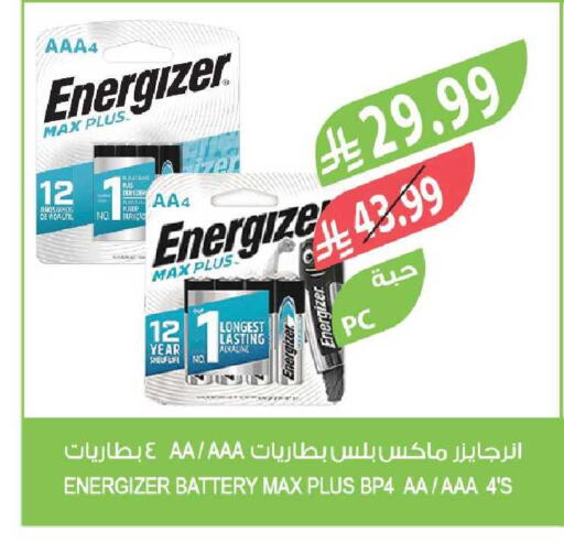 available at Farm  in KSA, Saudi Arabia, Saudi - Tabuk