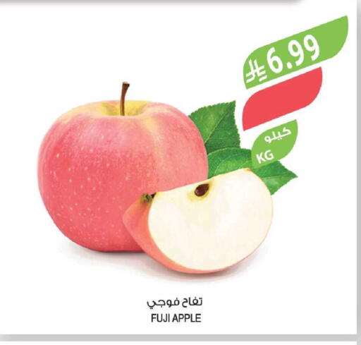 Apple available at Farm  in KSA, Saudi Arabia, Saudi - Tabuk
