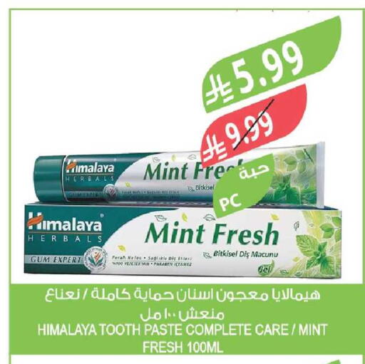 Mint available at Farm  in KSA, Saudi Arabia, Saudi - Al-Kharj