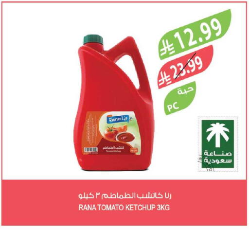 Tomato available at Farm  in KSA, Saudi Arabia, Saudi - Al-Kharj