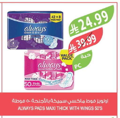 available at Farm  in KSA, Saudi Arabia, Saudi - Tabuk