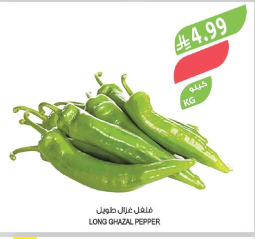 Pepper available at Farm  in KSA, Saudi Arabia, Saudi - Al-Kharj