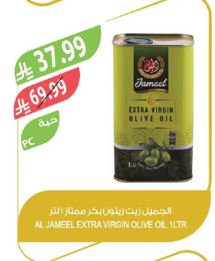 available at Farm  in KSA, Saudi Arabia, Saudi - Tabuk