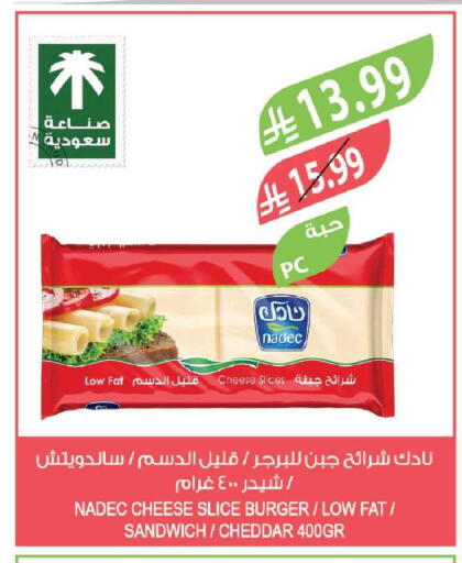 available at Farm  in KSA, Saudi Arabia, Saudi - Tabuk