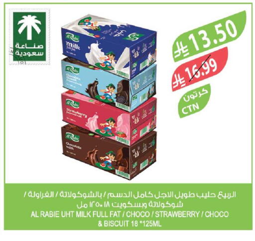 Strawberry available at Farm  in KSA, Saudi Arabia, Saudi - Tabuk