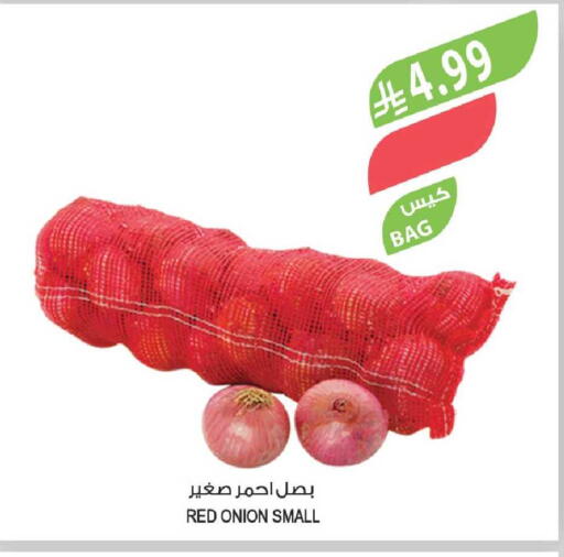 Onion available at Farm  in KSA, Saudi Arabia, Saudi - Al Khobar