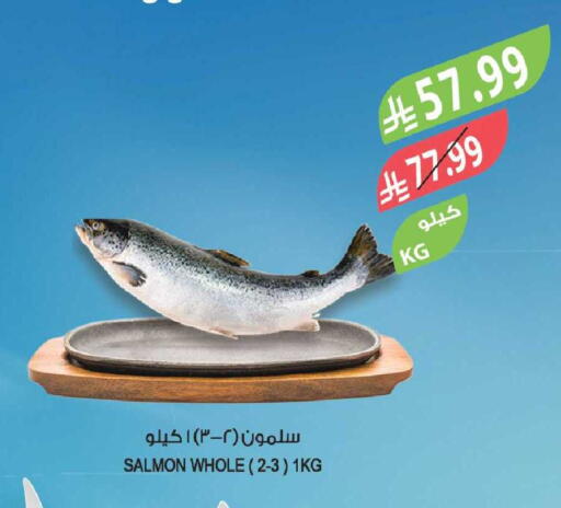 available at المزرعة in مملكة العربية السعودية, السعودية, سعودية - تبوك