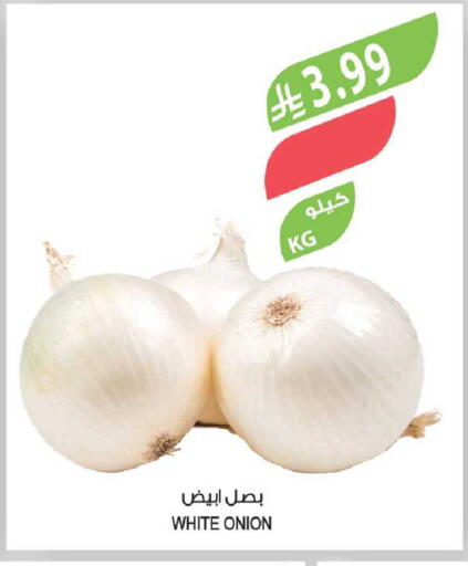 Onion available at Farm  in KSA, Saudi Arabia, Saudi - Al Khobar