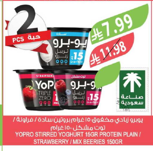 Strawberry available at Farm  in KSA, Saudi Arabia, Saudi - Tabuk