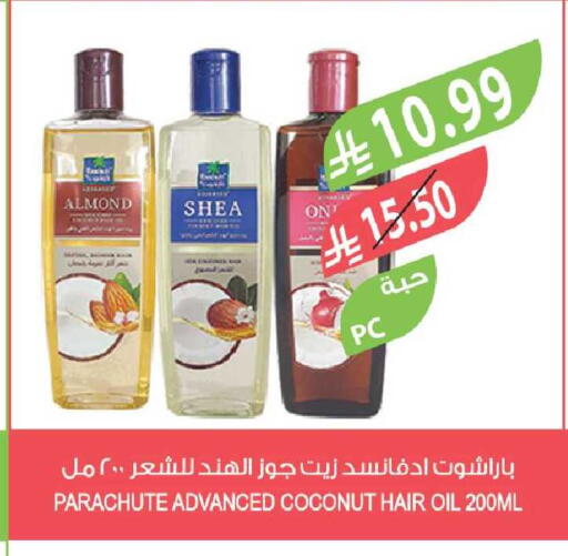 Coconut available at Farm  in KSA, Saudi Arabia, Saudi - Al-Kharj