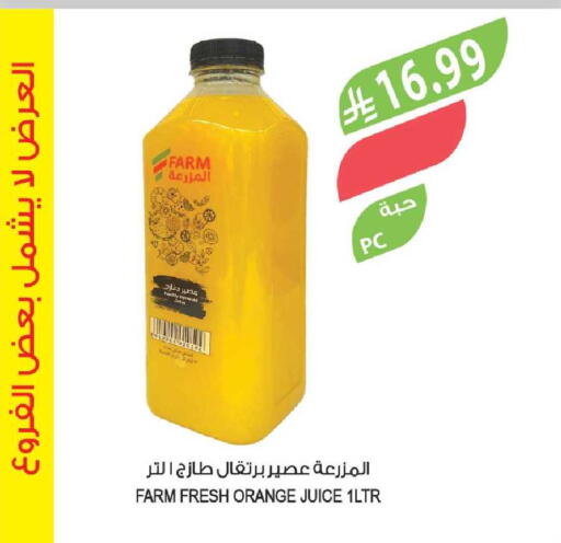 Orange available at Farm  in KSA, Saudi Arabia, Saudi - Al-Kharj