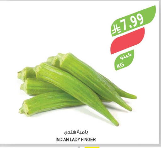 from India available at المزرعة in مملكة العربية السعودية, السعودية, سعودية - نجران