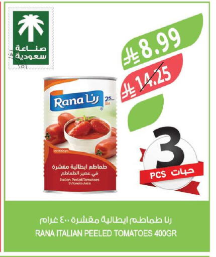Tomato available at Farm  in KSA, Saudi Arabia, Saudi - Al-Kharj