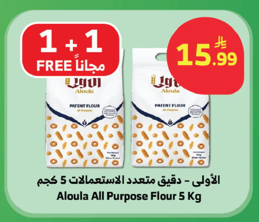 available at Al Raya in KSA, Saudi Arabia, Saudi - Abha