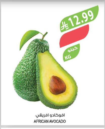 Avocado available at Farm  in KSA, Saudi Arabia, Saudi - Al-Kharj