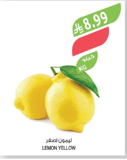 Lemon available at Farm  in KSA, Saudi Arabia, Saudi - Al-Kharj