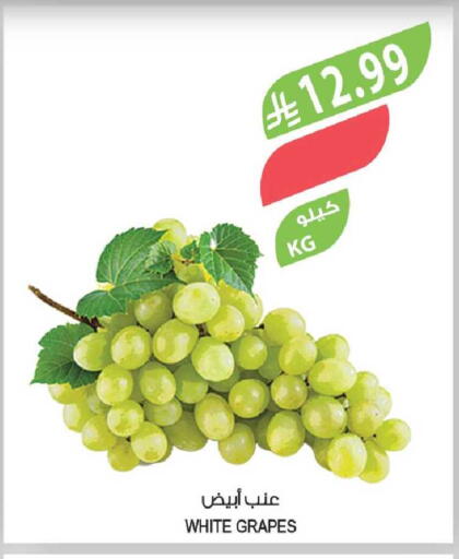 Grapes available at Farm  in KSA, Saudi Arabia, Saudi - Al-Kharj