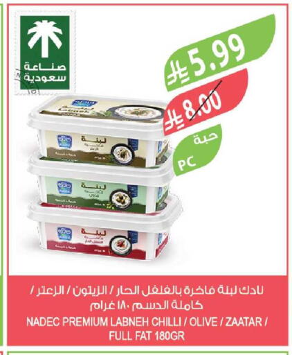 Chilli available at Farm  in KSA, Saudi Arabia, Saudi - Tabuk