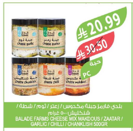 Garlic Chilli available at Farm  in KSA, Saudi Arabia, Saudi - Tabuk