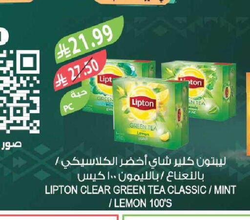 Lemon Mint available at Farm  in KSA, Saudi Arabia, Saudi - Jubail