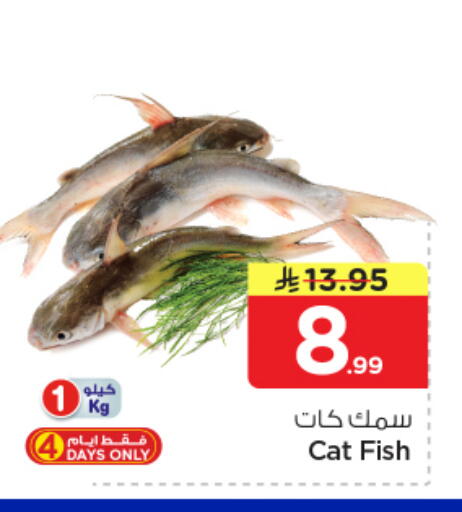 available at نستو in مملكة العربية السعودية, السعودية, سعودية - الرياض