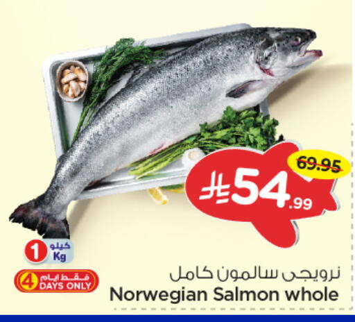 available at نستو in مملكة العربية السعودية, السعودية, سعودية - الرياض