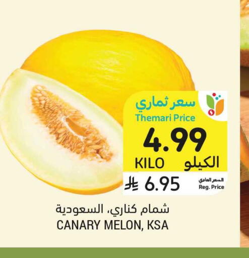 Melon available at Tamimi Market in KSA, Saudi Arabia, Saudi - Tabuk