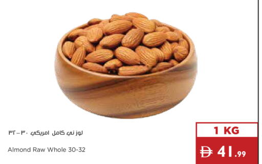 available at إسطنبول سوبرماركت in الإمارات العربية المتحدة , الامارات - الشارقة / عجمان