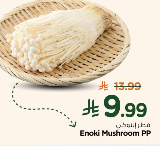 Mushroom available at Hyper Al Wafa in KSA, Saudi Arabia, Saudi - Riyadh