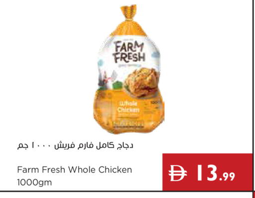 available at إسطنبول سوبرماركت in الإمارات العربية المتحدة , الامارات - أبو ظبي