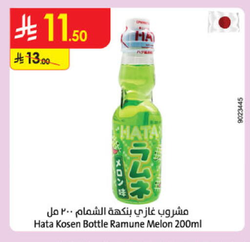 Melon available at الدانوب in مملكة العربية السعودية, السعودية, سعودية - تبوك