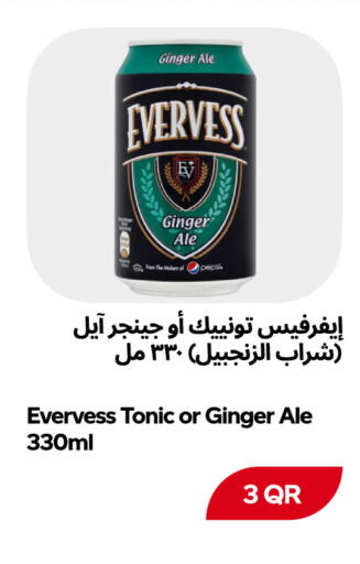 Ginger available at Snoomart in Qatar - Al Shamal