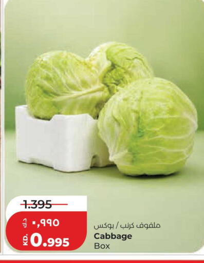 Cabbage available at Lulu Hypermarket  in Kuwait - Kuwait City