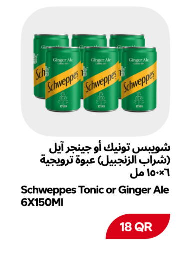 Ginger available at سنومارت in قطر - الدوحة