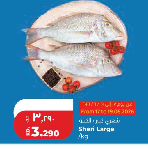 available at Lulu Hypermarket  in Kuwait - Kuwait City