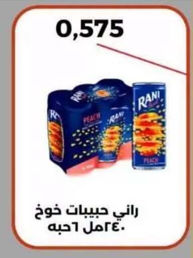 Peach available at Abdullah Al-Mubarak Co-op. Society in Kuwait - Kuwait City