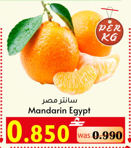 Mandarin from Egypt available at القوت هايبرماركت in عُمان - مسقط‎