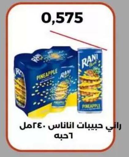 Pineapple available at Abdullah Al-Mubarak Co-op. Society in Kuwait - Kuwait City