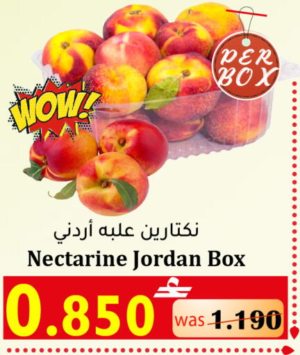Nectarine from Jordan available at القوت هايبرماركت in عُمان - مسقط‎