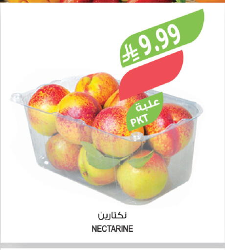 Nectarine available at Farm  in KSA, Saudi Arabia, Saudi - Arar