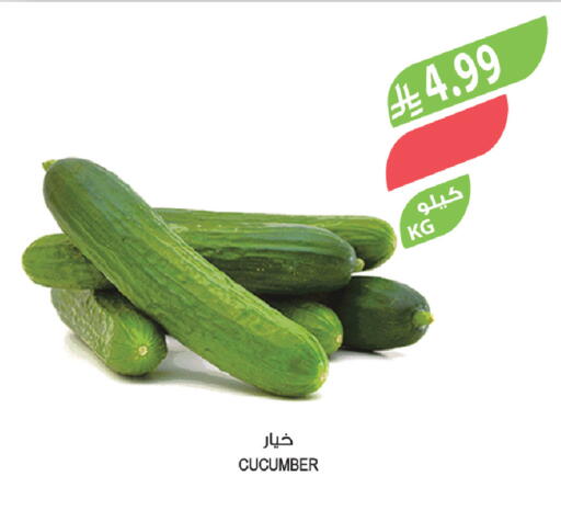 Cucumber available at المزرعة in مملكة العربية السعودية, السعودية, سعودية - عرعر