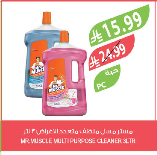 available at Farm  in KSA, Saudi Arabia, Saudi - Sakaka